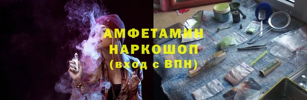 шишки Аркадак