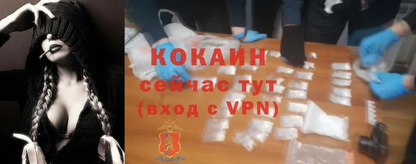 шишки Аркадак