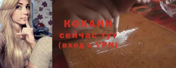 шишки Аркадак