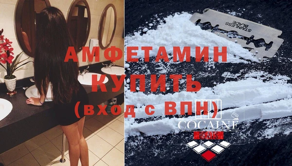 шишки Аркадак