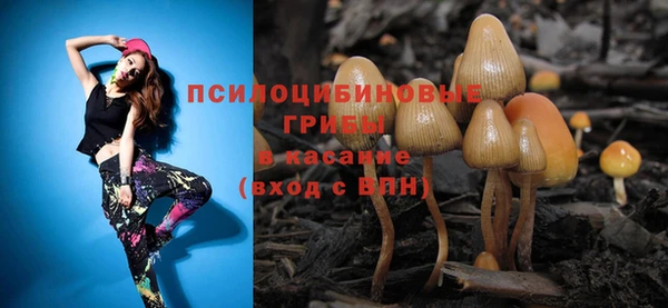 дмт Армянск