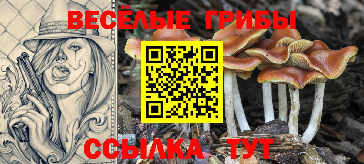 Галлюциногенные грибы прущие грибы  Вход с VPN  Псилоцибиновые грибы Cubensis  Гурьевск 