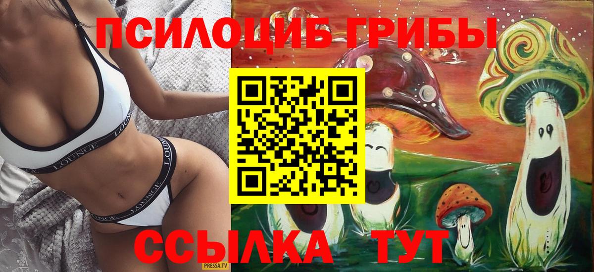 Галлюциногенные грибы прущие грибы Гурьевск