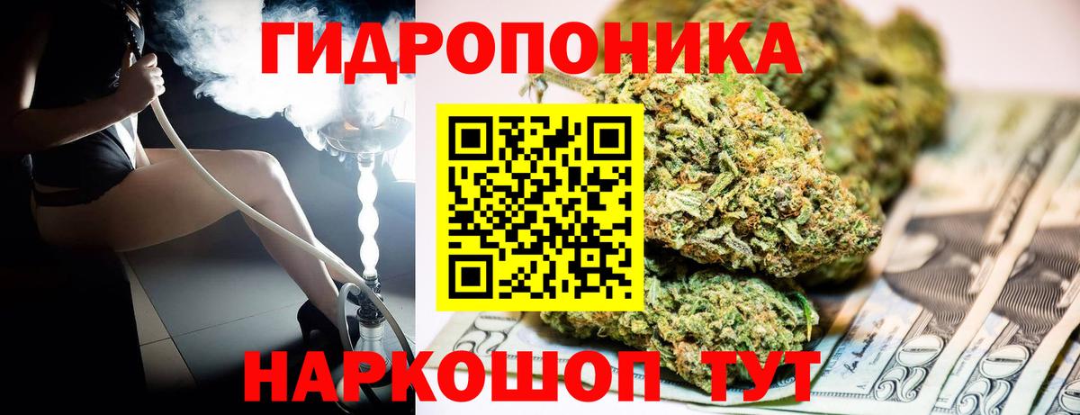 Конопля индика Гурьевск